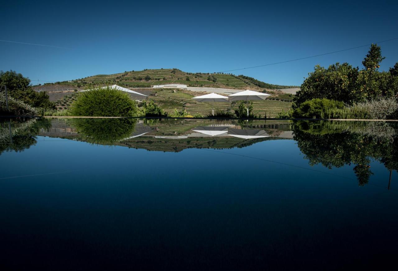 פסו דה רגואה Quinta Do Vallado - Douro Wine Hotel מראה חיצוני תמונה