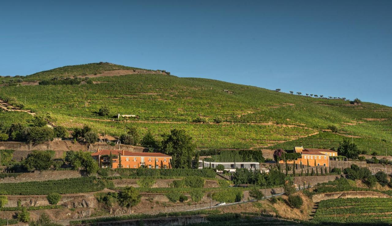 פסו דה רגואה Quinta Do Vallado - Douro Wine Hotel מראה חיצוני תמונה