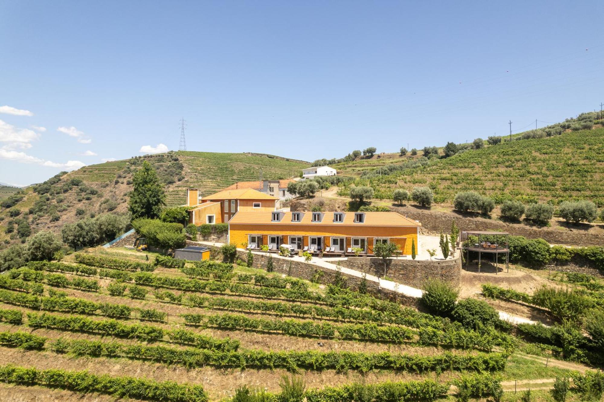 פסו דה רגואה Quinta Do Vallado - Douro Wine Hotel מראה חיצוני תמונה