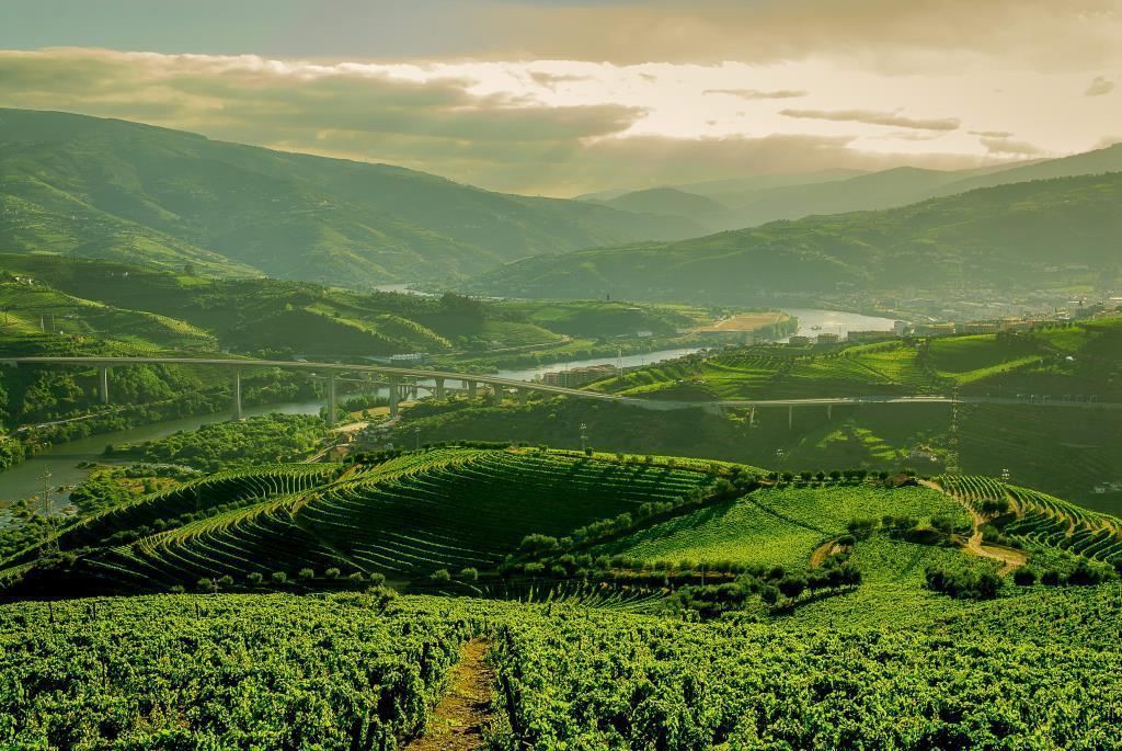 פסו דה רגואה Quinta Do Vallado - Douro Wine Hotel מראה חיצוני תמונה