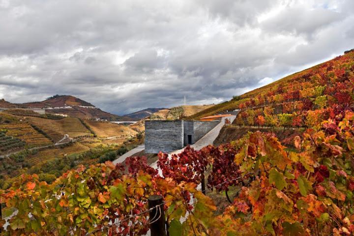 פסו דה רגואה Quinta Do Vallado - Douro Wine Hotel מראה חיצוני תמונה