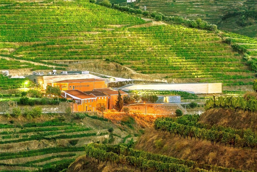פסו דה רגואה Quinta Do Vallado - Douro Wine Hotel מראה חיצוני תמונה