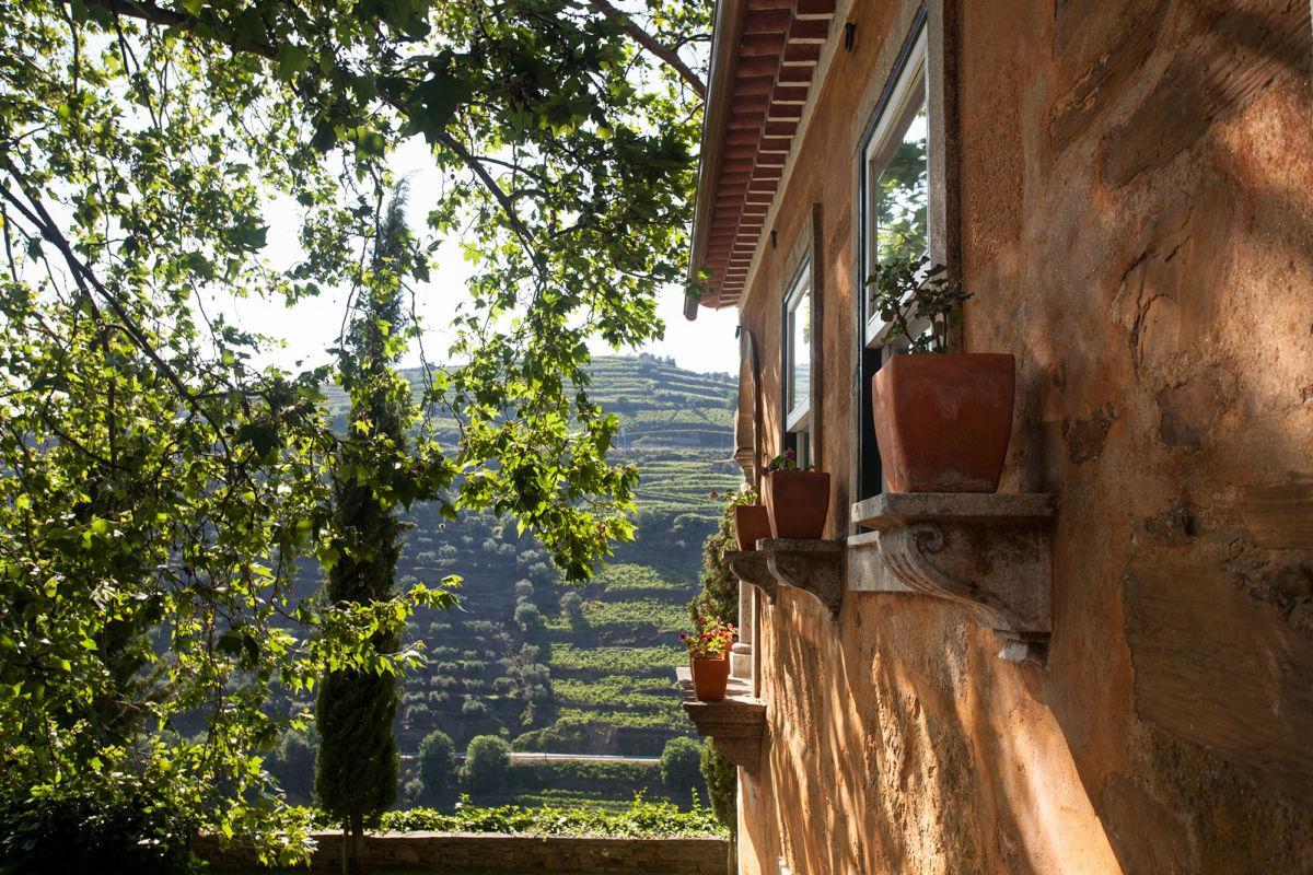 פסו דה רגואה Quinta Do Vallado - Douro Wine Hotel מראה חיצוני תמונה